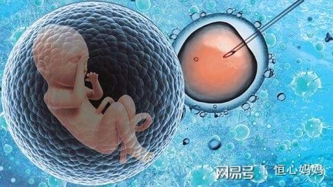 供卵机构电话